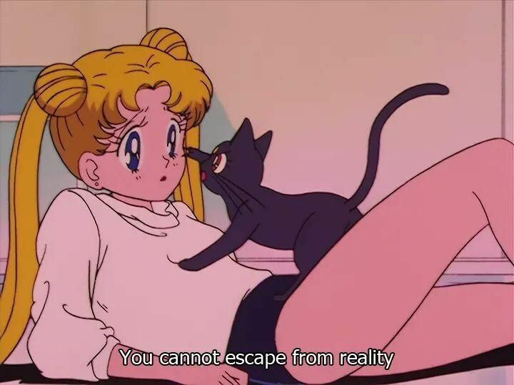 Photograph of an angry cat telling a moon princess that she cannot escape reality.